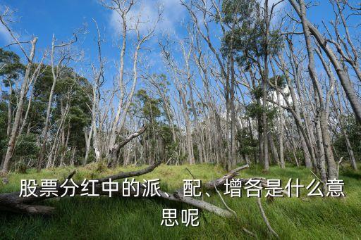  股票分紅中的派、配、增各是什么意思呢
