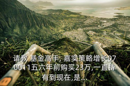 請(qǐng)教 基金高手, 嘉實(shí)策略增長(zhǎng)070011五六年前購(gòu)買23萬,一直持有到現(xiàn)在,是...