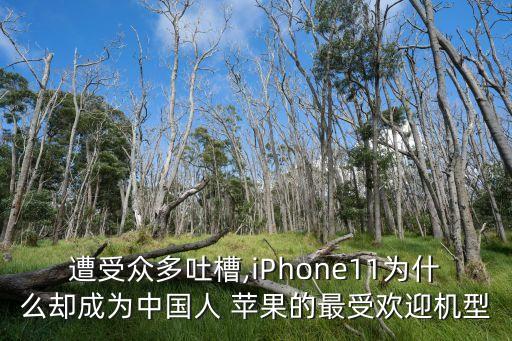 遭受眾多吐槽,iPhone11為什么卻成為中國(guó)人 蘋(píng)果的最受歡迎機(jī)型