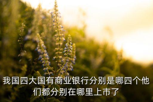 我國(guó)四大國(guó)有商業(yè)銀行分別是哪四個(gè)他們都分別在哪里上市了