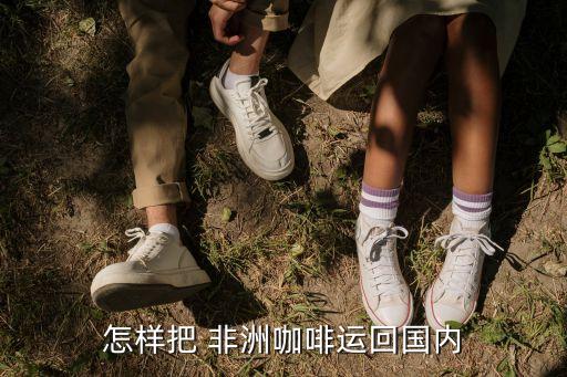 怎樣把 非洲咖啡運回國內