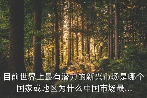 目前世界上最有潛力的新興市場(chǎng)是哪個(gè) 國(guó)家或地區(qū)為什么中國(guó)市場(chǎng)最...