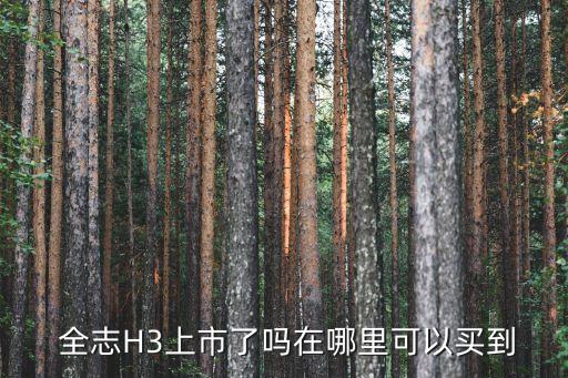 全志方案公司招聘,公司招聘計(jì)劃方案怎么寫(xiě)