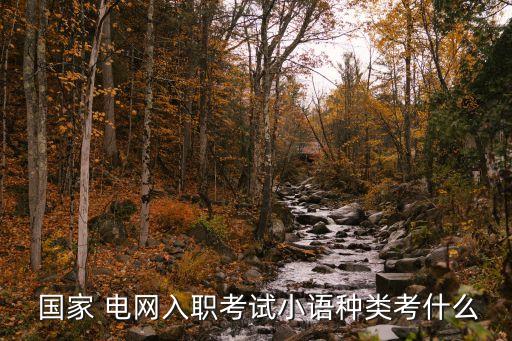  國(guó)家 電網(wǎng)入職考試小語種類考什么