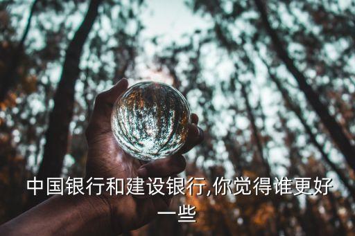建行與中國銀行,建行中國銀行業(yè)協(xié)會最佳社會實踐案例獎