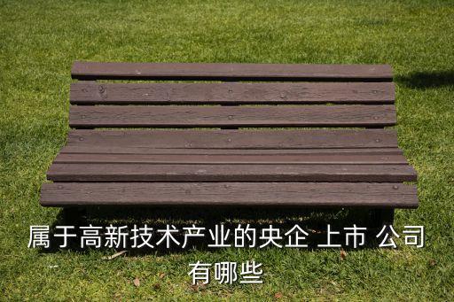 中國普天集團上市公司