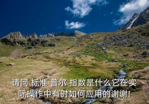 請(qǐng)問(wèn) 標(biāo)準(zhǔn) 普爾 指數(shù)是什么它在實(shí)際操作中有時(shí)如何應(yīng)用的謝謝!