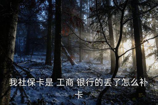 我社?？ㄊ?工商 銀行的丟了怎么補(bǔ)卡