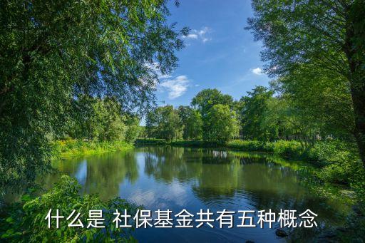 什么是 社?；鸸灿形宸N概念