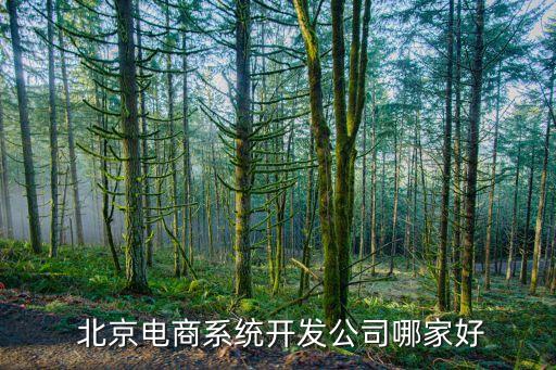  北京電商系統開發(fā)公司哪家好