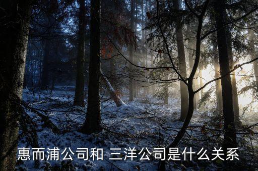 合肥三洋集團,合肥榮事達三洋