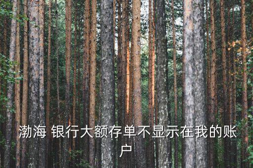  渤海 銀行大額存單不顯示在我的賬戶(hù)