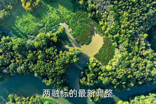 兩融標的最新調整