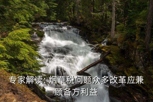 專(zhuān)家解讀: 煙草稅問(wèn)題眾多改革應(yīng)兼顧各方利益
