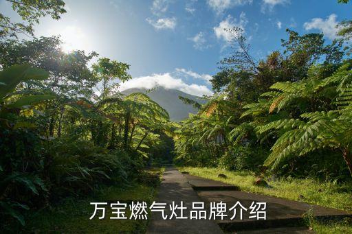  萬(wàn)寶燃?xì)庠钇放平榻B
