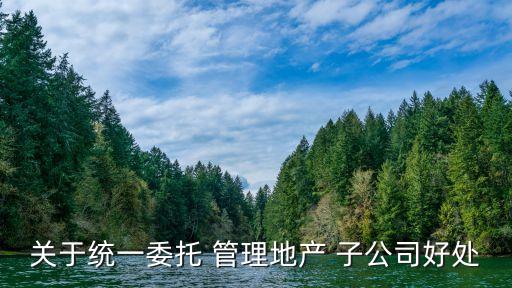 關于統(tǒng)一委托 管理地產(chǎn) 子公司好處
