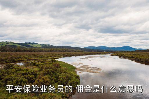 平安保險業(yè)務員的 傭金是什么意思嗎