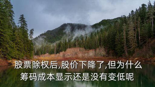  股票除權(quán)后,股價(jià)下降了,但為什么籌碼成本顯示還是沒有變低呢