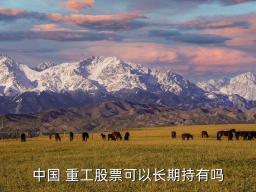 中國 重工股票可以長(zhǎng)期持有嗎