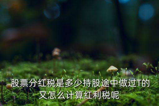  股票分紅稅是多少持股途中做過T的又怎么計(jì)算紅利稅呢