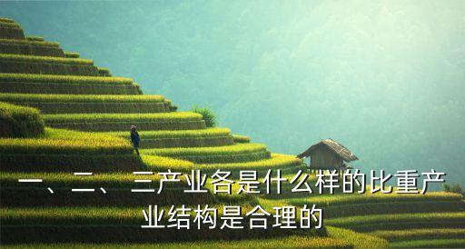 一、二、 三產(chǎn)業(yè)各是什么樣的比重產(chǎn)業(yè)結(jié)構(gòu)是合理的