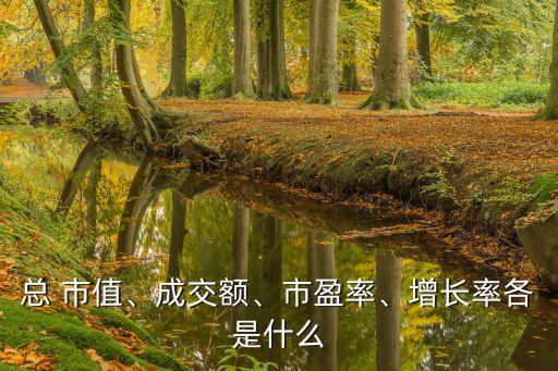 總 市值、成交額、市盈率、增長(zhǎng)率各是什么
