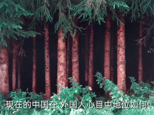 外國(guó)人對(duì)中國(guó)經(jīng)濟(jì)的評(píng)價(jià),2023中國(guó)經(jīng)濟(jì)評(píng)價(jià)