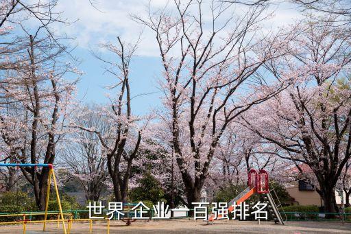  世界 企業(yè)一百?gòu)?qiáng)排名