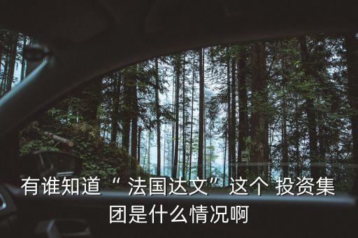 有誰知道“ 法國(guó)達(dá)文”這個(gè) 投資集團(tuán)是什么情況啊