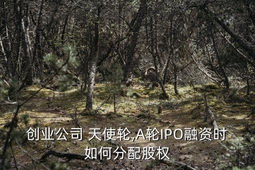 創(chuàng)業(yè)公司 天使輪,A輪IPO融資時如何分配股權