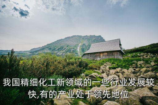 我國精細化工新領域的一些行業(yè)發(fā)展較快,有的產業(yè)處于領先地位
