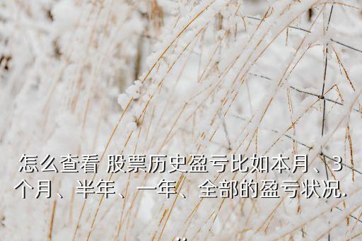 怎么查看 股票歷史盈虧比如本月、3個(gè)月、半年、一年、全部的盈虧狀況...