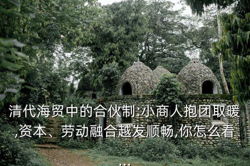 清代海貿(mào)中的合伙制:小商人抱團取暖,資本、勞動融合越發(fā)順暢,你怎么看...