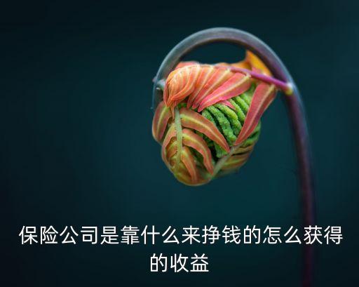  保險(xiǎn)公司是靠什么來(lái)掙錢(qián)的怎么獲得的收益