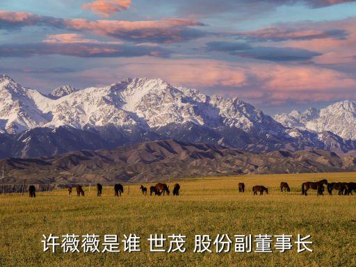 許薇薇是誰 世茂 股份副董事長(zhǎng)