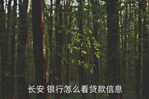 長(zhǎng)安銀行理財(cái)產(chǎn)品查詢(xún)