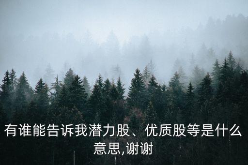 有誰能告訴我潛力股、優(yōu)質(zhì)股等是什么意思,謝謝