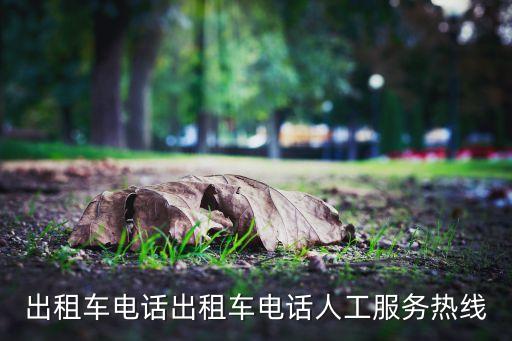 出租車(chē)電話出租車(chē)電話人工服務(wù)熱線