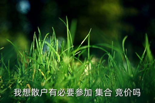 我想散戶(hù)有必要參加 集合 競(jìng)價(jià)嗎