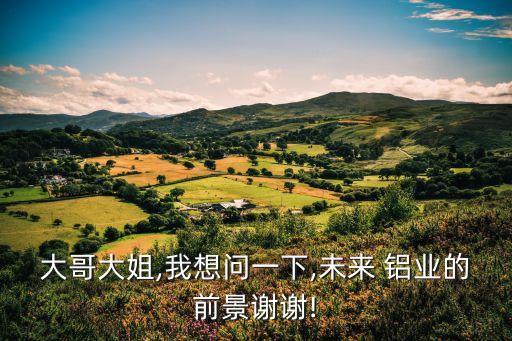 大哥大姐,我想問(wèn)一下,未來(lái) 鋁業(yè)的前景謝謝!