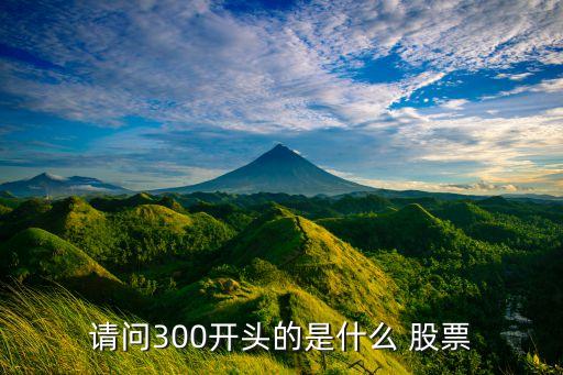 請(qǐng)問300開頭的是什么 股票