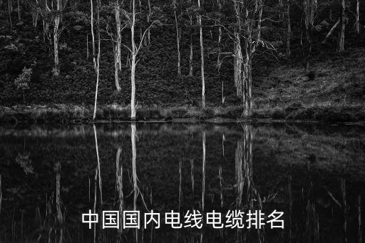 中國國內電線電纜排名