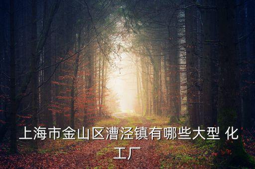 上海德聯化工有限公司地址,長春德聯化工有限公司怎么樣