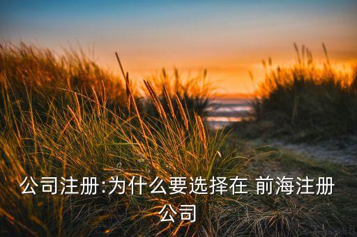 深圳前海金融公司的地理優(yōu)勢