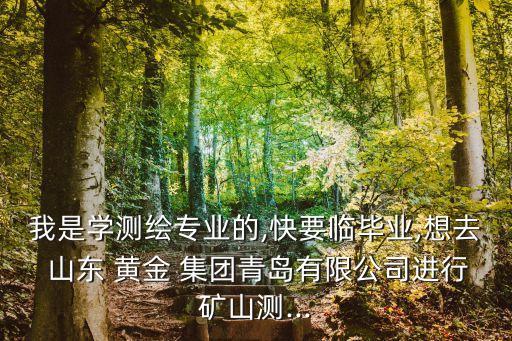 我是學測繪專業(yè)的,快要臨畢業(yè),想去 山東 黃金 集團青島有限公司進行礦山測...