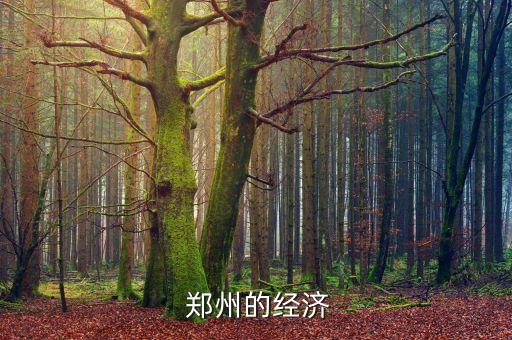  鄭州的經濟