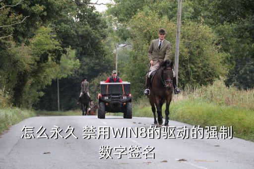 怎么永久 禁用WIN8的驅動的強制數(shù)字簽名
