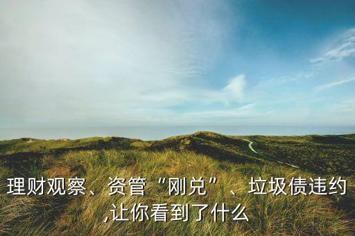理財(cái)觀察、資管“剛兌”、垃圾債違約,讓你看到了什么