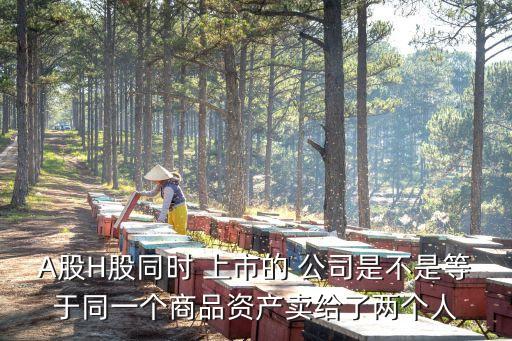A股H股同時 上市的 公司是不是等于同一個商品資產賣給了兩個人