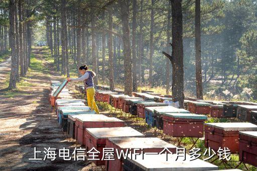 上海合農(nóng)網(wǎng)絡(luò),上海曲合網(wǎng)絡(luò)開(kāi)發(fā)公司
